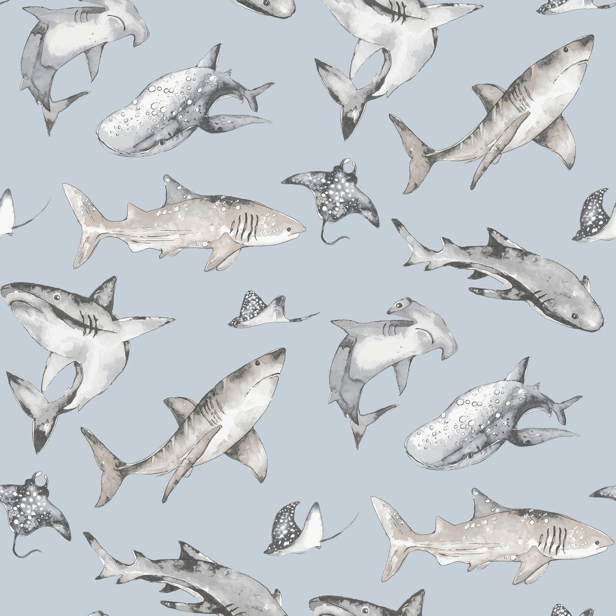Galerie G78591 Kids and Teens Sharks Blue Wallpaper G78591 Blue Wallpaper