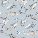 Galerie G78591 Kids and Teens Sharks Blue Wallpaper G78591 Blue Wallpaper