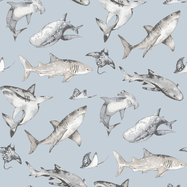 Galerie G78591 Kids and Teens Sharks Blue Wallpaper G78591 Blue Wallpaper