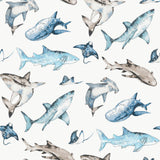Galerie G78592 Kids and Teens Sharks Blue Wallpaper G78592 Blue Wallpaper