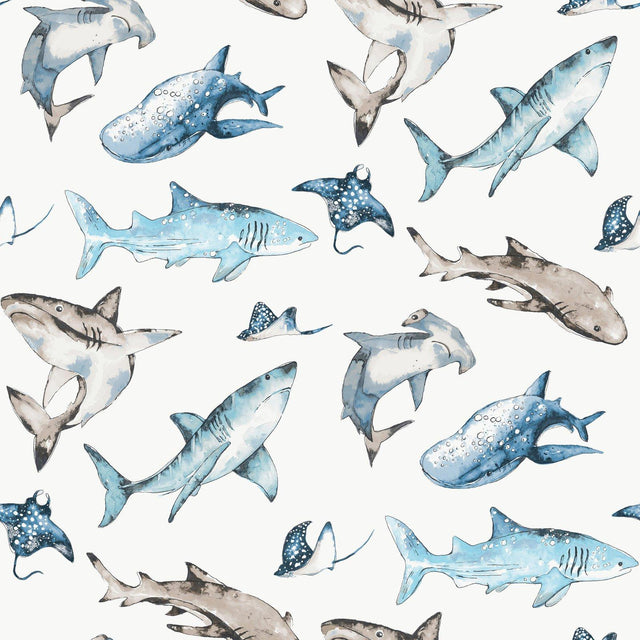 Galerie G78592 Kids and Teens Sharks Blue Wallpaper G78592 Blue Wallpaper