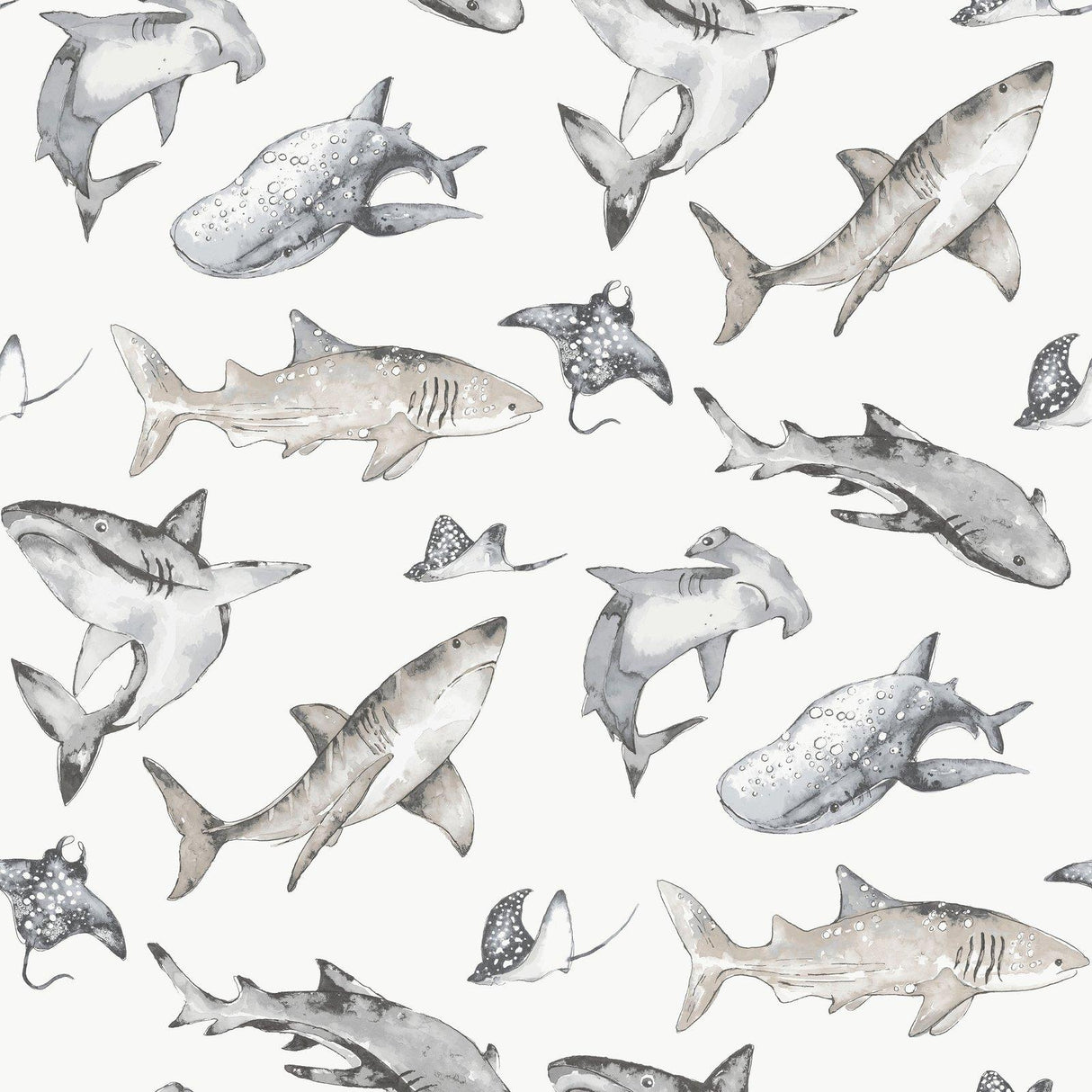 Galerie G78593 Kids and Teens Sharks Grey Wallpaper G78593 Grey Wallpaper