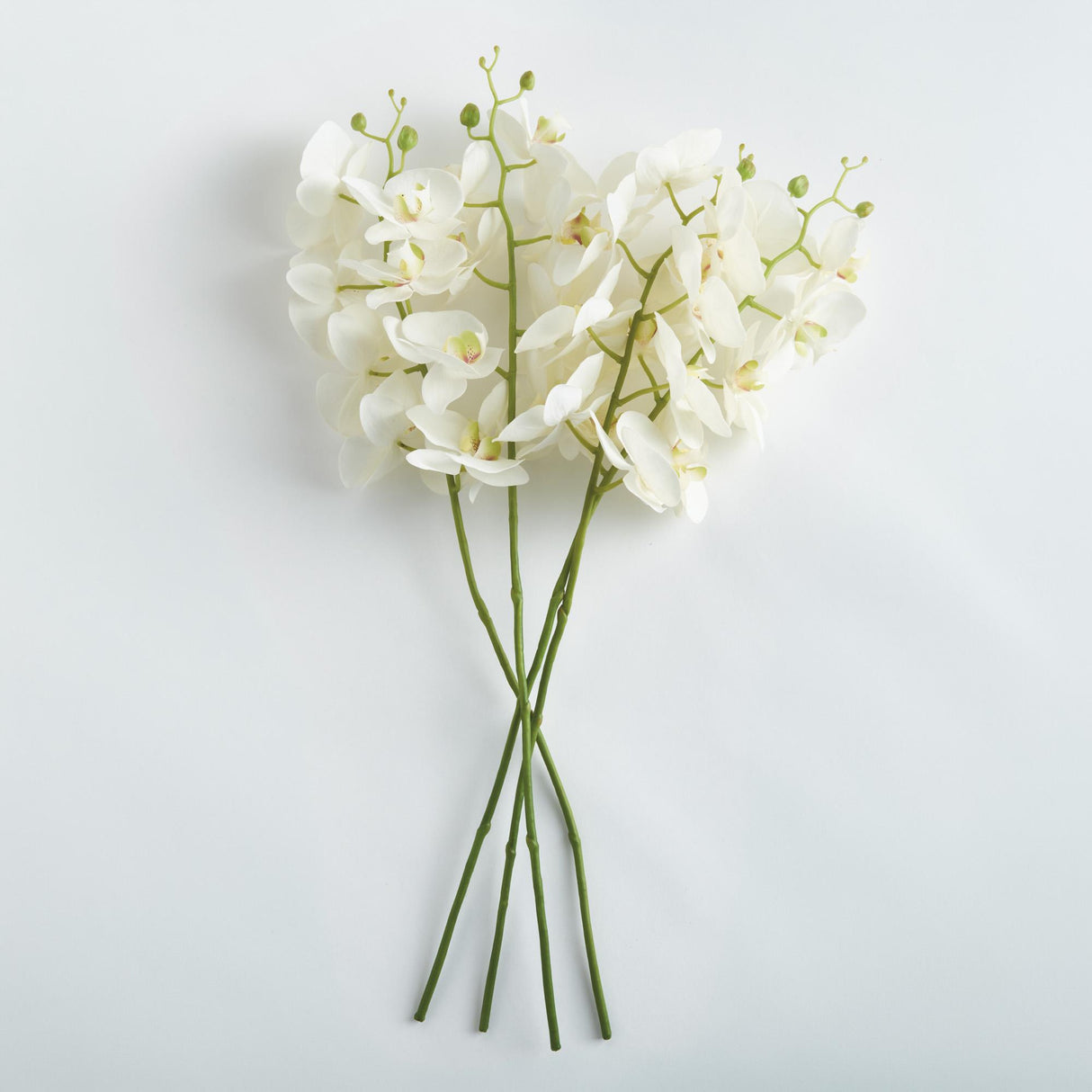 Napa White PHALAENOPSIS ORCHID STEMS 28" ST/4