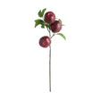 Napa Burgundy APPLE BRANCHES 20" ST/4
