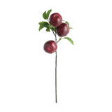 Napa Burgundy APPLE BRANCHES 20" ST/4