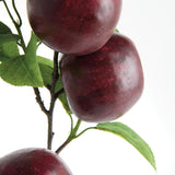Napa Burgundy APPLE BRANCHES 20" ST/4