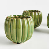 Napa Green LEANNA MINI POTS ST/4