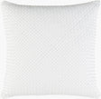 Surya Kenzie KNZ-002 20"L x 20"W Pillow