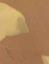 Winfield Thybony CALDER CAMEO Wallpaper