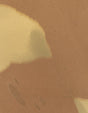 Winfield Thybony CALDER CAMEO Wallpaper