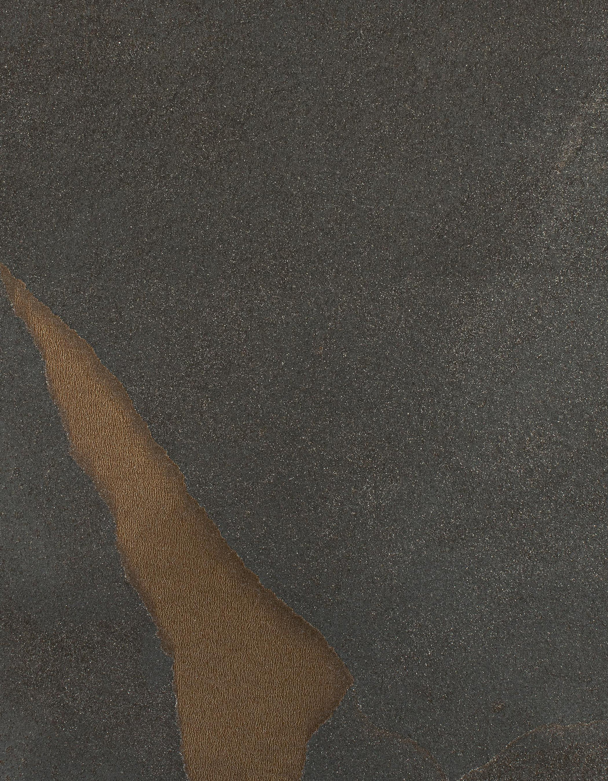 Winfield Thybony CALDER VINTAGE Wallpaper
