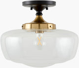 Livabliss Forvian FRVN-002 14"L x 14"W x 12"H Ceiling Lighting