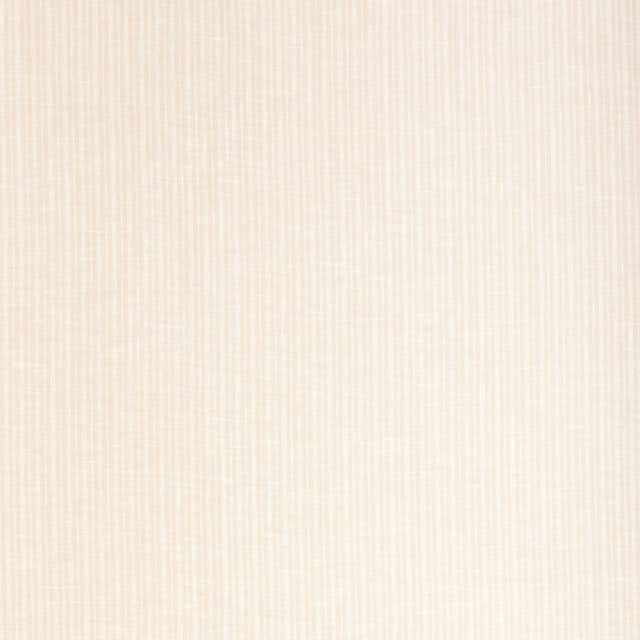 Lee Jofa ELINOR SHEER BLUSH Drapery Fabric