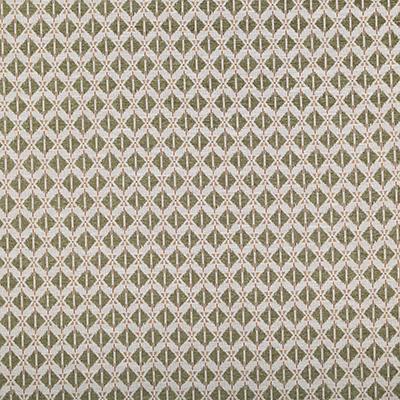 Pindler AIDEN SAGE Fabric