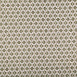 Pindler AIDEN SAGE Fabric