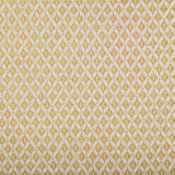 Pindler AIDEN DIJON Fabric