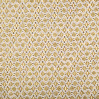 Pindler AIDEN DIJON Fabric