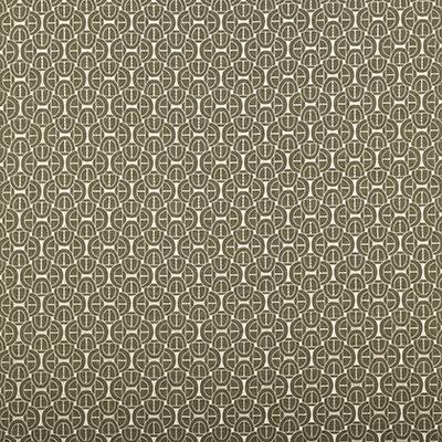 Pindler COLSON CEDAR Fabric