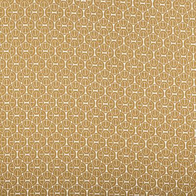 Pindler COLSON TOPAZ Fabric