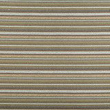 Pindler ELIJAH LODEN Fabric