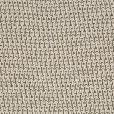Pindler LUCAS MOSS Fabric
