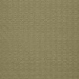 Pindler SPENCER MOSS Fabric