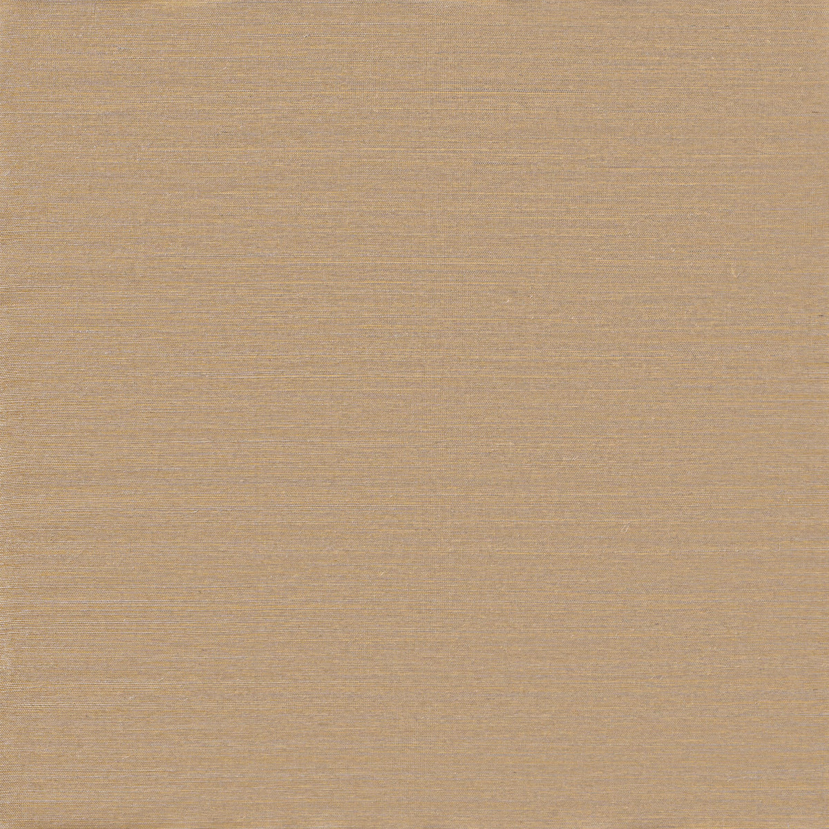 Winfield Thybony SUNLIT SISAL SANDBAR Wallpaper