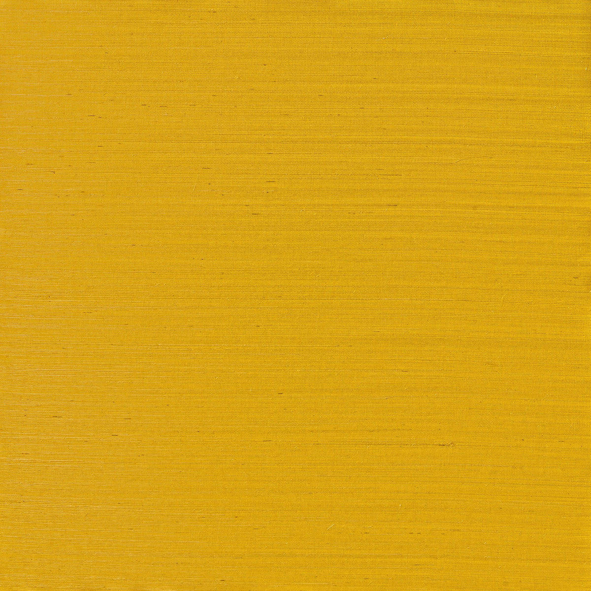 Winfield Thybony SERENITY SISAL GOLDEN STRAW Wallpaper