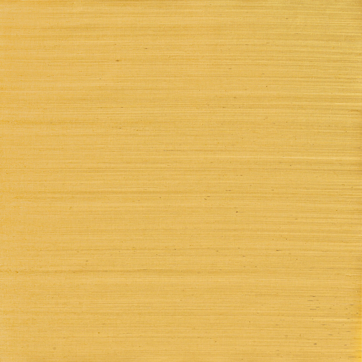 Winfield Thybony SERENITY SISAL HARVEST Wallpaper