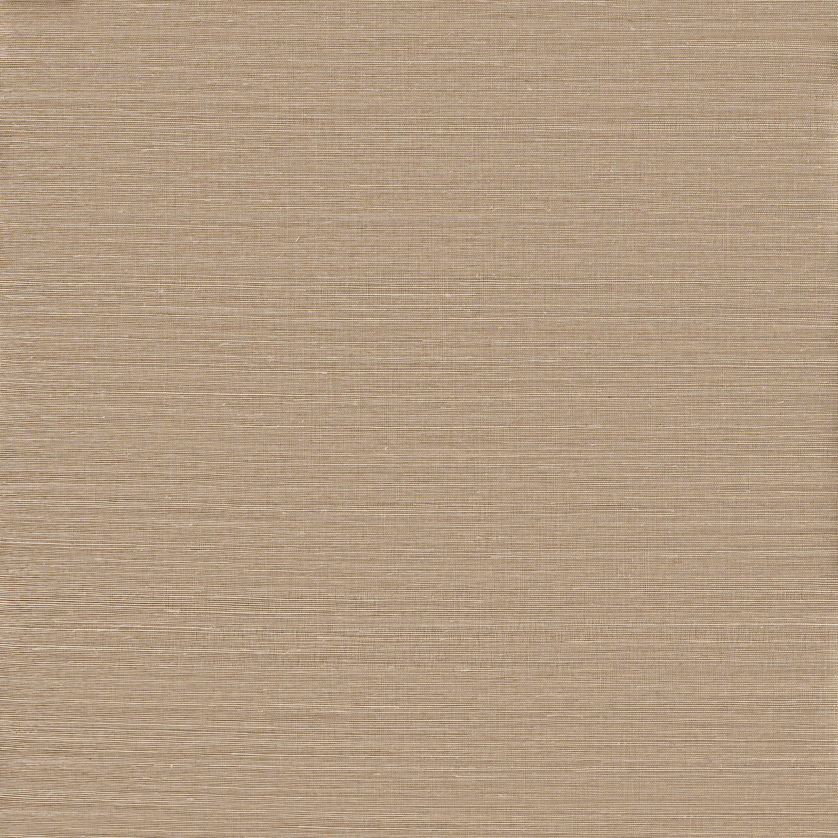 Winfield Thybony ADOBE SISAL FAWN Wallpaper