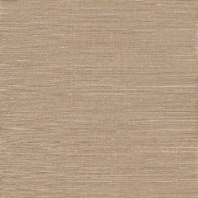 Winfield Thybony ADOBE SISAL FAWN Wallpaper