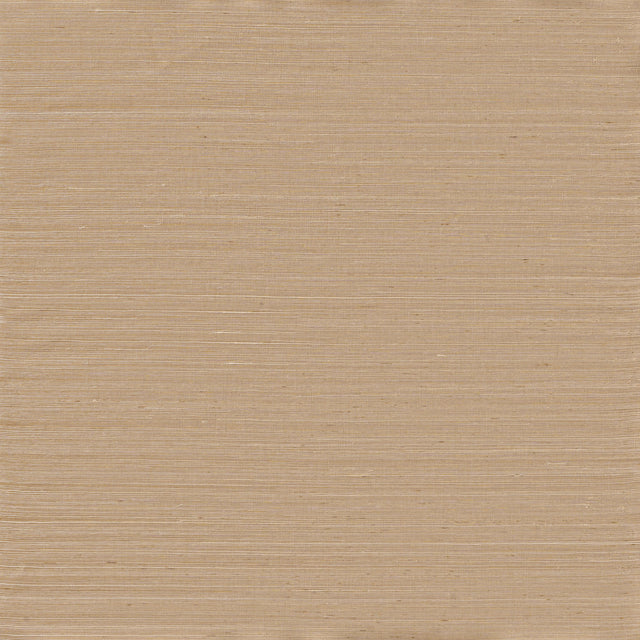 Winfield Thybony ADOBE SISAL CHAMPAGNE HUSK Wallpaper