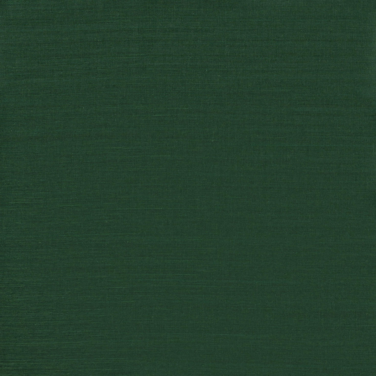 Winfield Thybony SERENITY SISAL DEEP FOREST Wallpaper