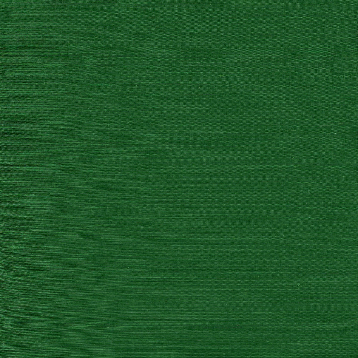 Winfield Thybony SERENITY SISAL CYPRESS GREEN Wallpaper