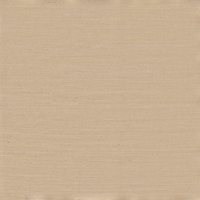 Winfield Thybony ADOBE SISAL SANDY BEIGE Wallpaper