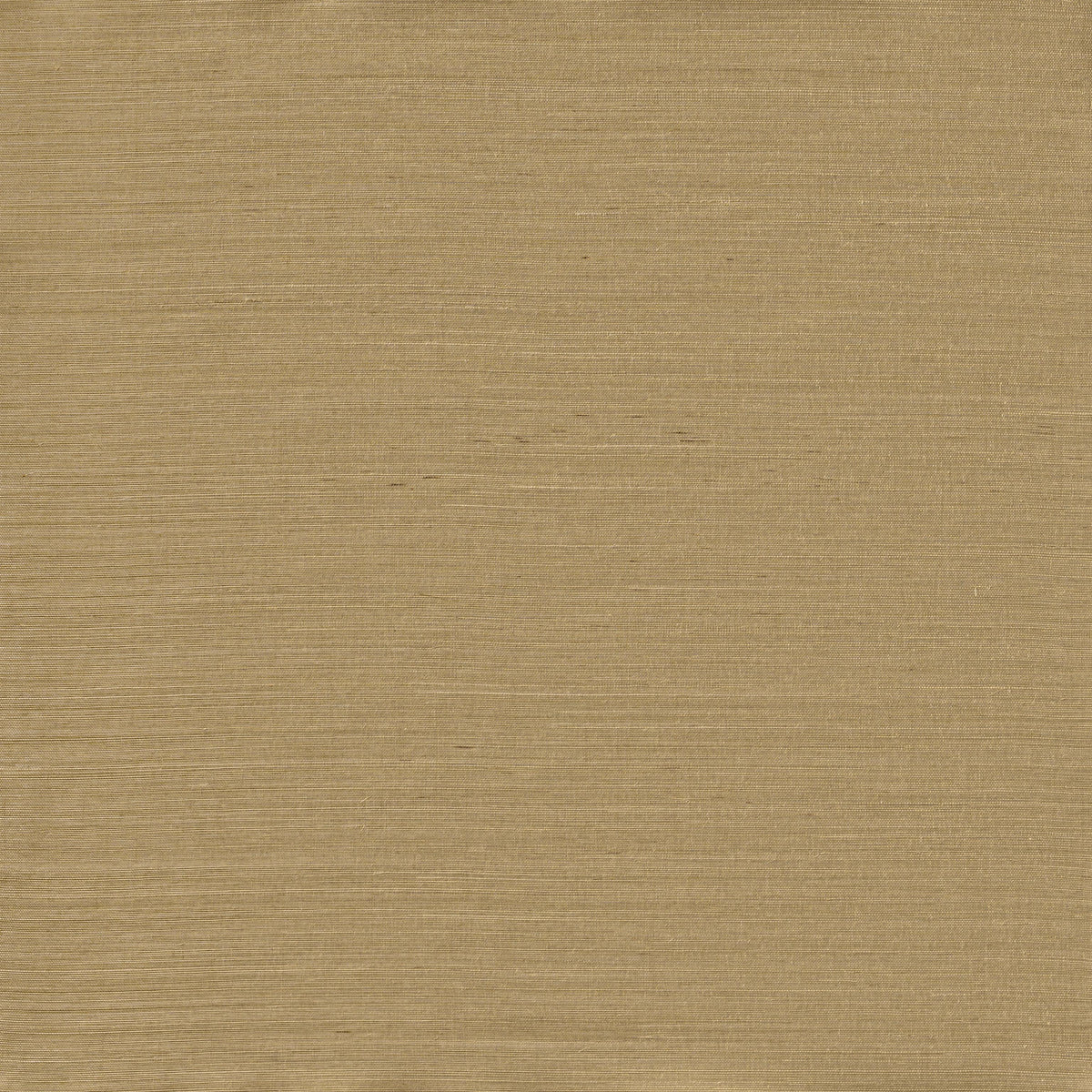 Winfield Thybony SERENITY SISAL DEW GREEN Wallpaper