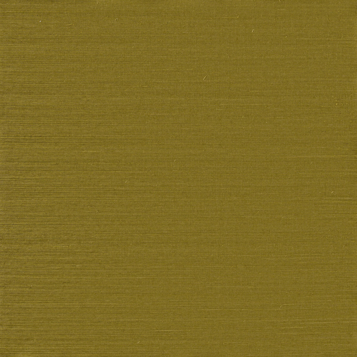 Winfield Thybony SERENITY SISAL MEADOW GREEN Wallpaper