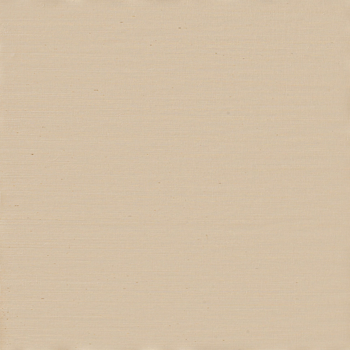Winfield Thybony SERENITY SISAL IVORY Wallpaper