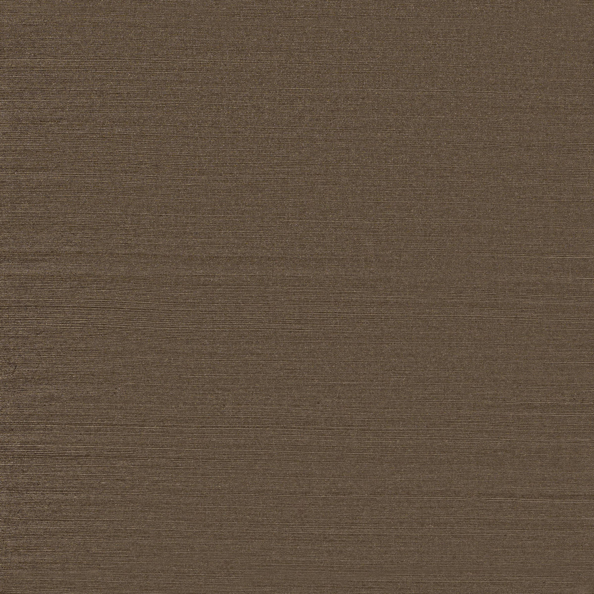 Winfield Thybony SUNLIT SISAL SILVERED DRIFTWOOD Wallpaper