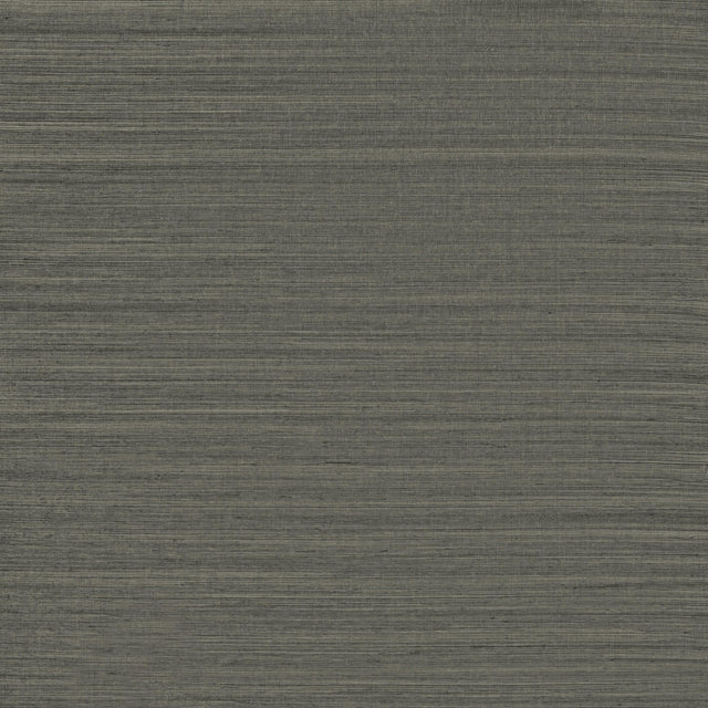 Winfield Thybony SERENITY SISAL GRAPHITE Wallpaper