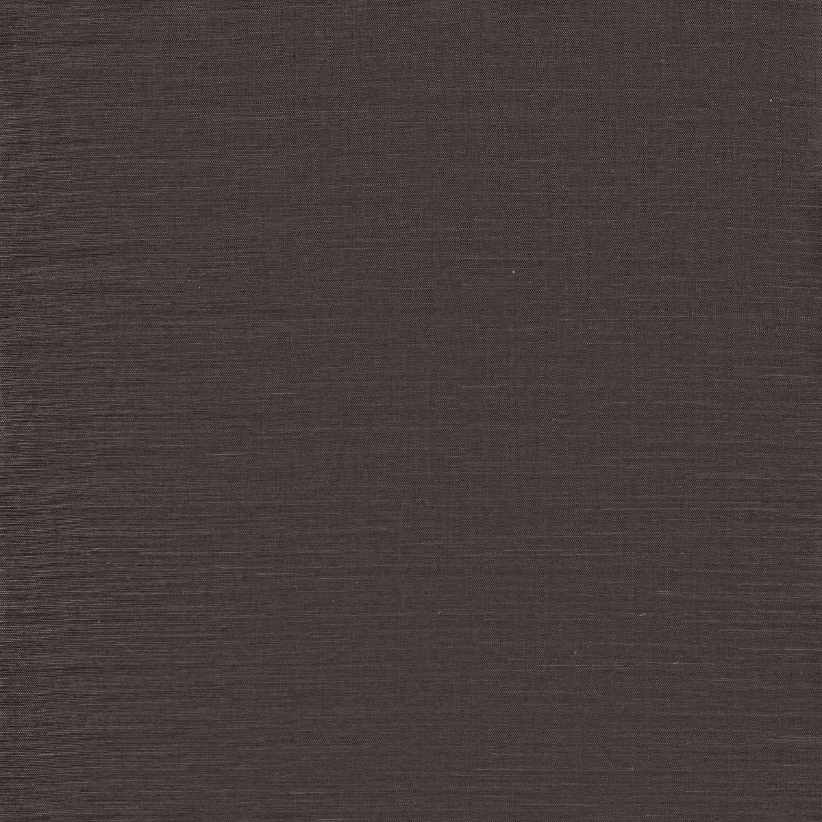 Winfield Thybony SUNLIT SISAL STEEL Wallpaper