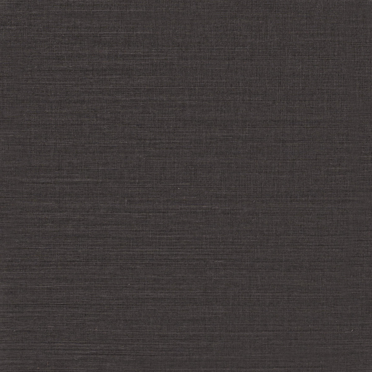 Winfield Thybony SUNLIT SISAL SLATE Wallpaper