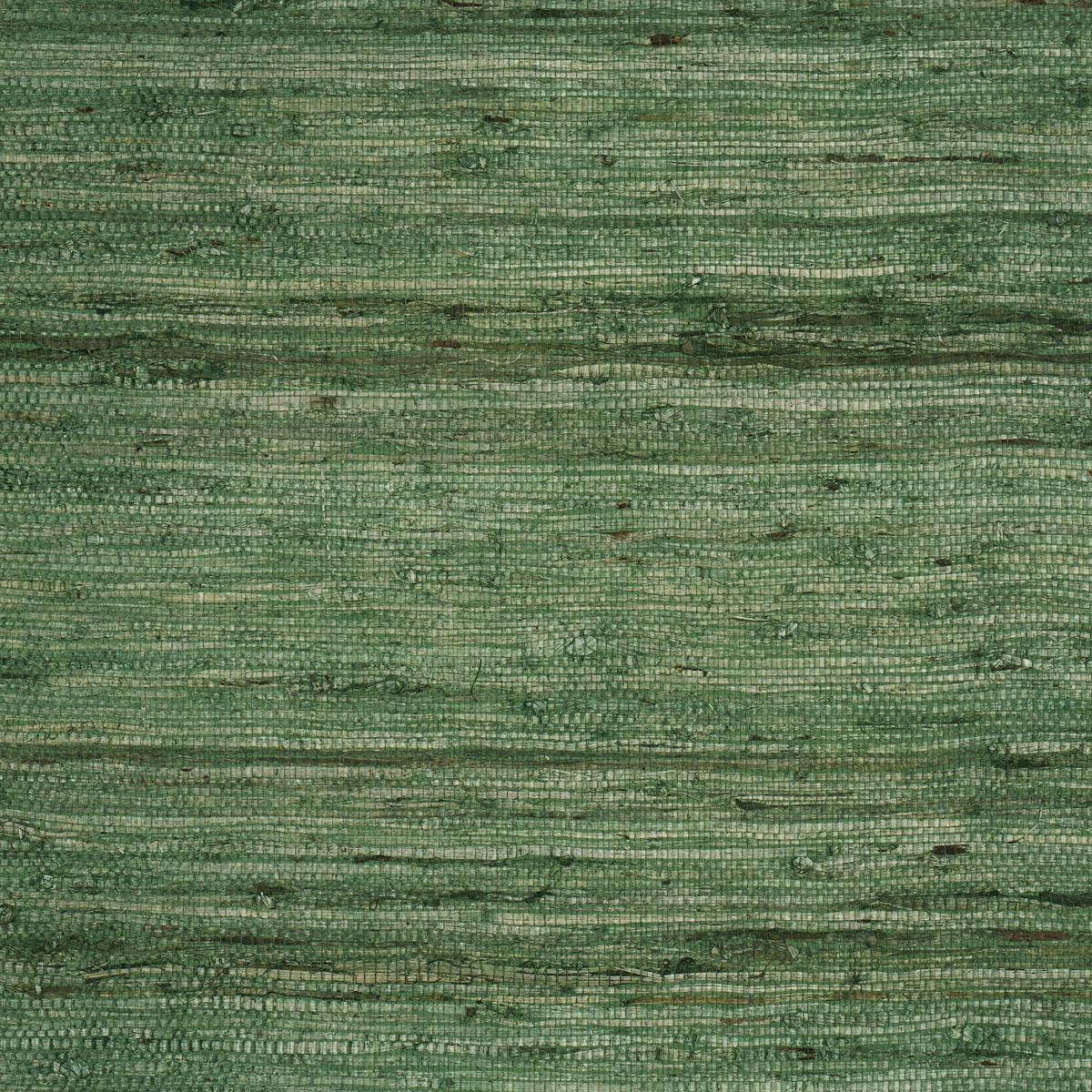 Schumacher Han Arrowroot Grass Wallpaper