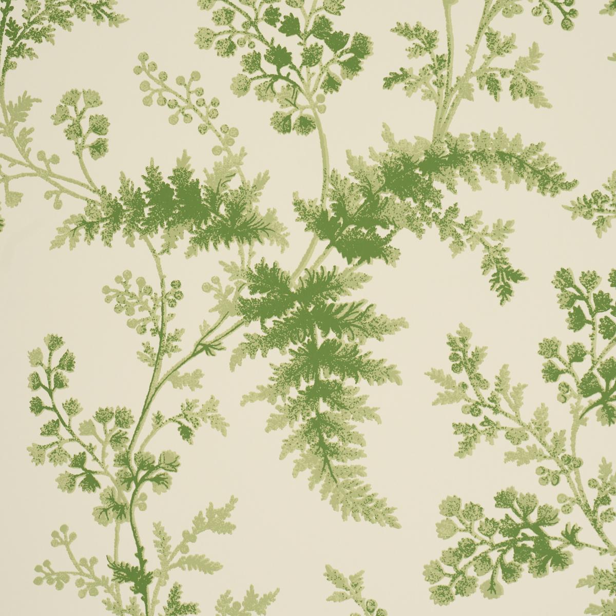Schumacher Maidenhair Moss Wallpaper
