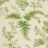 Schumacher Maidenhair Moss Wallpaper