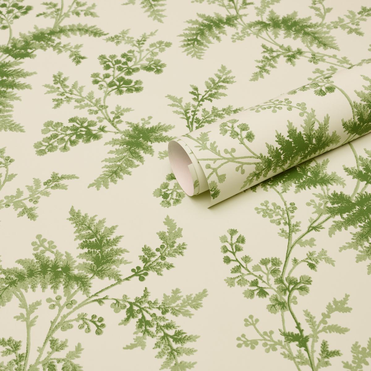 Schumacher Maidenhair Moss Wallpaper