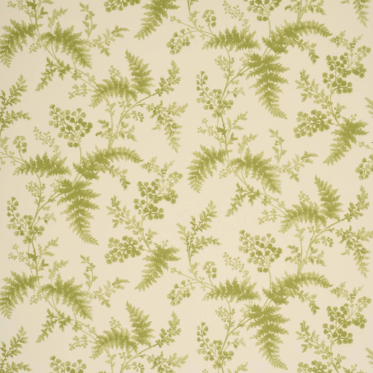 Schumacher Maidenhair Leaf Wallpaper