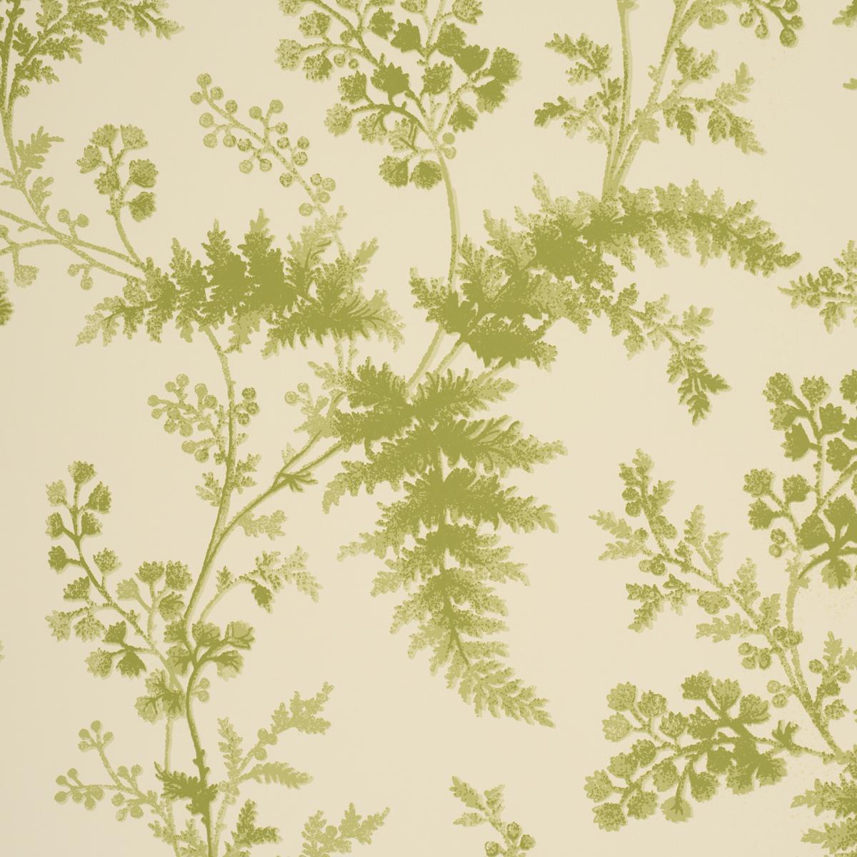 Schumacher Maidenhair Leaf Wallpaper