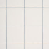 Schumacher Woodman Check Sky Wallpaper