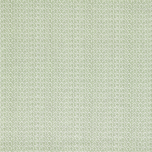 Clarke & Clarke KALPA SAGE Fabric